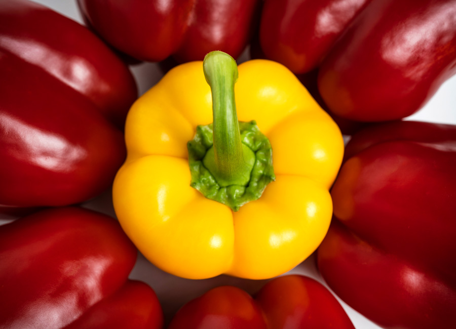 el mejor Pimiento California del mercado, cultivado en Almería